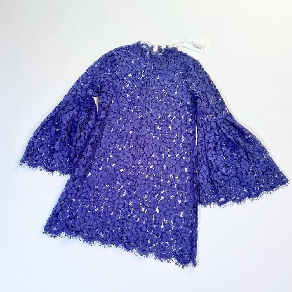 Endless rose express navy lace sheer mini dress with bell sleeves.